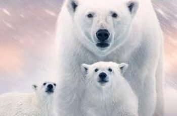 Polar Bear (2022)